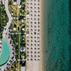 Blue Carpet Luxury פפקוהורי